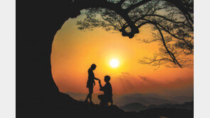 연인 손잡고 ‘찰칵’… 성흥산에 사랑걸렸네