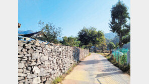 숲길-들길-물길… 아산둘레길에서 힐링을