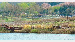 한빛탑 따라 춤추는 음악분수… 대전의 밤은 낮보다 아름답다