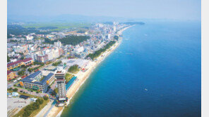 알 꽉 찬 주꾸미 먹고 보령해저터널 걸으면 바다의 맛이 차오른다