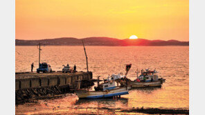 한우 꽃등심부터 주홍빛 송어까지… “눈이 즐겁고 입이 신난다”