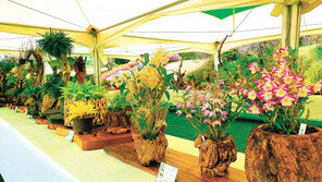 “대통령 휴양지였던 청남대에서 향긋한 봄의 정취 느껴보세요” 