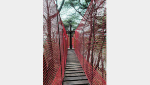 아찔한 출렁다리 건너 생태 체험… 장곡사 꽃길 걸으며 지친 일상 훨훨