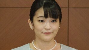 평민 된 日 마코 공주, 뉴욕 미술관서 자원봉사