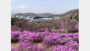 봄꽃 활짝 핀 경기지역 명소는…가평 23코스·부천 55코스