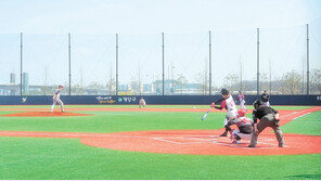 체육공원서 동호인 야구