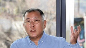 정의선 회장 “내부 체질 개선 필요…새 정부 규제완화 기대”