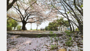 [날씨]금요일 오후부터 중부 곳곳 빗방울…전국 낮 12~22도