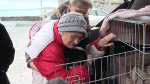 피란길에 두고 온 강아지…2900㎞ 여행 끝에 주인과 상봉
