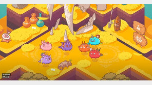 美, ‘엑시 인피니티’ 해킹 배후로 ‘北’ 지목…제재 리스트 추가