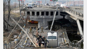 “나토 동진 막으려던 푸틴, 스웨덴-핀란드 자극 ‘나토 확장’ 자충수” 