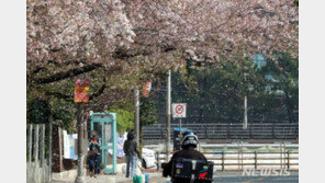 [날씨]내일 전국 대체로 맑아…내륙 중심 일교차 20도 내외