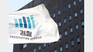 ‘계곡살인’ 수사 부장검사 “‘검수완박’ 되면 검찰은 온라인 성묘밖에…”