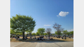 돗자리는 되고 그늘막 안된다는 한강공원…거리두기 풀리는데 왜?