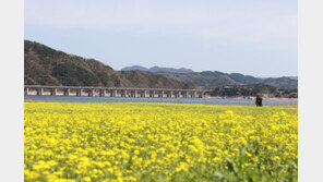봄나들이 차량 고속도로 ‘빽빽’…서울→지방 정오 때 정체 ‘최대’