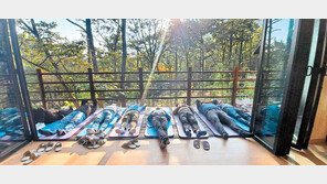 해남군 흑석산에 ‘치유의 숲’ 본격 운영