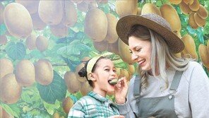 “올해 처음 나온 제스프리 키위 맛보세요”