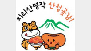 지리산이 빚은 주홍빛 보물, 산청곶감