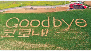 25개월만의 ‘자유’… “재료주문 늘리고 직원 채용” 활기찾은 식당