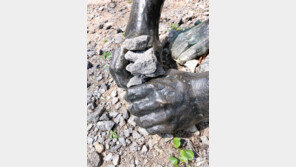 [고양이 눈]돌 심는 동상