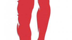 기운 없고 심장에 문제있으면 코큐텐 결핍 의심해보세요