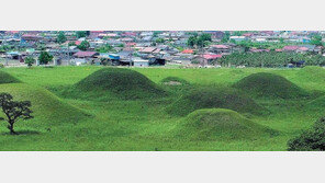 경주 외곽 고분속 유물에… 신라 6부 지배층, 중앙 귀속과정 담겨