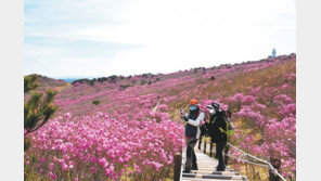 “완연한 봄이 왔어요”