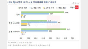 서울 빌라 매매거래 중 90%가 소형…전용 60㎡ 비중 역대 최고