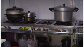 조리식품 이물 신고, 머리카락보다 ‘벌레’가 더 많았다