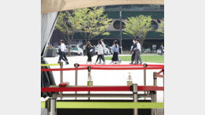 서울광장서 2년 만에 야외 행사…잔디 위 도서관 만든다