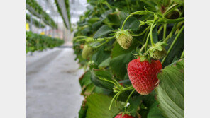 박선기 퍼밋 대표 “사람이 최우선, 농민들 고민 해결하는 스마트팜 될 것”