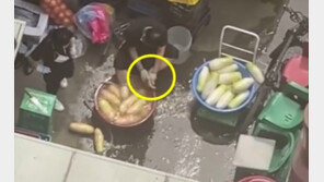 ‘무 닦던 수세미로 발 닦은 족발집’ 사장에 벌금 500만원 구형