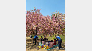 한국수력원자력 수소융복합처, 청렴문화 확산 캠페인 시행