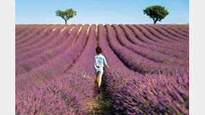 유럽 문화의 심장부에서 대자연을 누리다