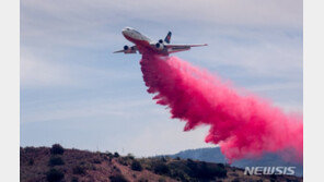 美 애리조나주 12년만의 대형산불…소방대 2000명 투입
