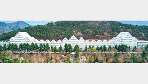 조선대, 굵직한 사업 잇따라 유치… 지역 거점 대학으로 도약한다