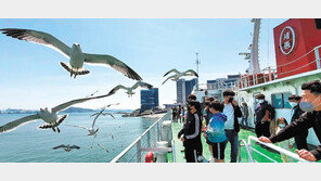갈매기 바라보며 선상 휴식