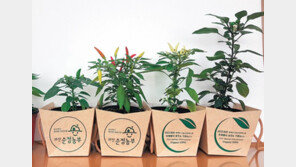 전 세계 고추 130여 품종 한곳에서 본다