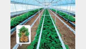 직영농장 분양으로 연 20% 수익 받는다