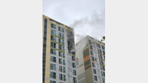 하마터면…반려견 2마리만 있던 광주 고층아파트서 화재(종합)