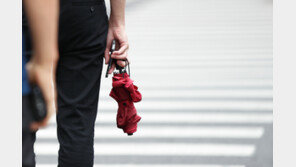 내일 낮 최고 30도, 흐리고 후덥지근…수도권·강원 비바람