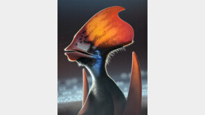 중생대 익룡들도 형형색색 ‘깃털옷’ 입었었네