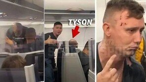 ‘핵주먹’ 타이슨, 기내서 승객 폭행… “만취한 승객이 조롱하듯 말 걸어”
