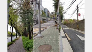 ‘확찐자’ 탈출하려고…일주일간 ‘만보 걷기’ 해봤더니 [체험기]