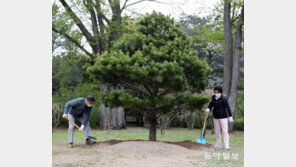 文의 ‘대통령 나무’는 금강송… 盧 전 대통령 나무 옆자리에 [청계천 옆 사진관]