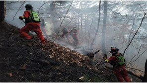 산림청, 강원 양양군 산불에 ‘산불 2단계’ 발령…강풍에 진화 고전