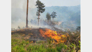 건조·강풍특보 속 양양서 산불…소방 ‘대응 2단계’ 격상