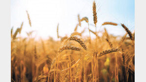 정밀-환경친화적 농업으로 탄소중립시대 앞당긴다