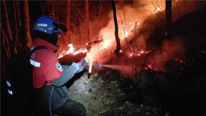 12시간여 만에 주불 잡힌 양양 산불…잔불 진화 총력