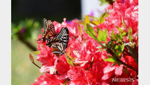 구름 많다가 오전부터 차차 맑아져…서울 27도 ‘초여름’ 날씨